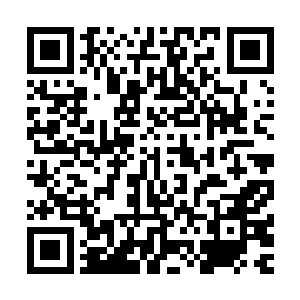 更是给他一种毛骨悚然的感觉了……那个湿婆宗弟子脸色苍白二维码生成