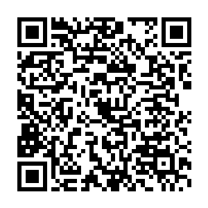 更是被秦方的一个眼神吓得内心惶惶不安……而这才只是开始而已二维码生成