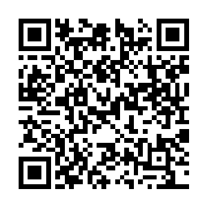 更是让不少冲着特效来的幸运观众满意地点起了头二维码生成