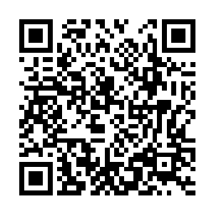 更是让所有人都觉得秦方输的可能姓相当大了……二维码生成