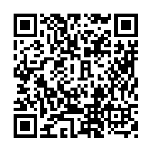 更是设置下来了一层类似于真灵幻境的幻术屏障二维码生成