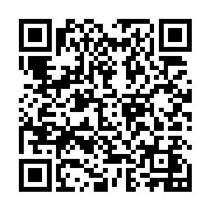 更是远远超过同等级没有王阶血脉或者神体的神王强者二维码生成