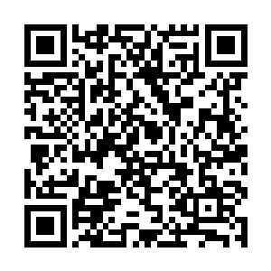更是饶有兴趣的落在浮现在韩家城堡之外的禁制阵法二维码生成