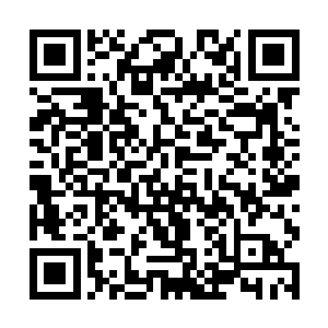 更有一股强大的力量在时刻抽取着毛里球身上的道痕二维码生成