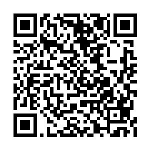 更有人推测羊羽天与天星宫之间存在着某种渊源二维码生成