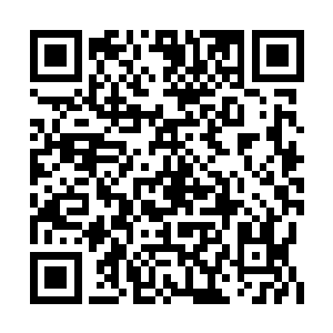 更有人说晏煦小小的年纪既聪明又长的粉雕玉琢二维码生成