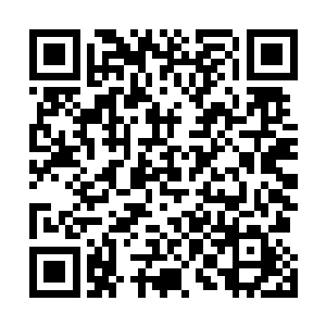 更有几个专门向蜈蚣的嘴巴和眼睛这些柔弱的地方飞过去二维码生成