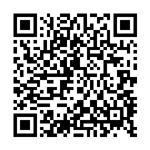 更有可能是对不知道什么时候才能过来的库尔德人不太信任二维码生成