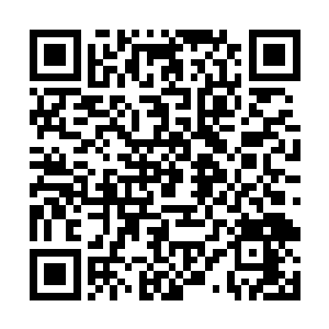 更有无数的柳树根将伸进了还在蠕动的地龙体内去了二维码生成