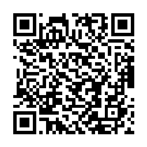更有着一群护短到我们的人就是错了那也是对的队员二维码生成