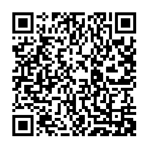 更有着盼孙心切的太后依旧在北辰皇朝的皇宫之中翘首企盼着她的玄孙归去二维码生成