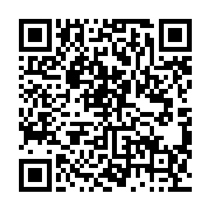 更有秘闻说这位王东厢写死了说出那句传世名言的佳人后二维码生成