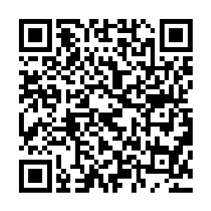 更有默契的是苏叶与鱼仔的手同时伸向了右边的那盏茶……二维码生成