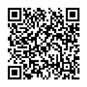 更气人的是半路自己都说了不闻那个东西也不跑了二维码生成