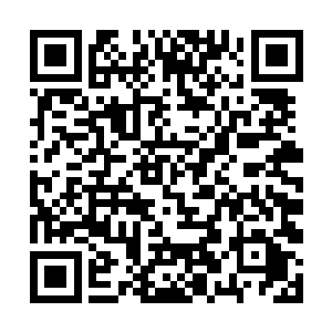 更没想到双头裂体兽体内竟然伸出这么多的粗大藤蔓二维码生成