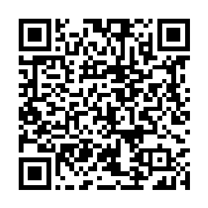 更没想到将来的我会因为林奕和猴子闹的几欲分裂二维码生成