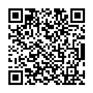 更没有想到这个灵宠会当着张潇晗的面就抱怨她这个主人二维码生成