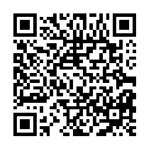 更没理由对星海边陲素不相识的修真者开刀只要你们不自寻死路二维码生成