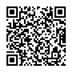 更没说护卫战士营后面就是祭司和他居住的小树林二维码生成