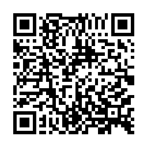 更涉及到躺在这一国命脉上吸血饱腹的那些皇亲国戚和二维码生成