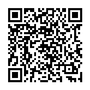 更看到了那地穴之中铺的一层层交错叠起来相当厚实的二维码生成