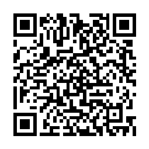 更能够仍他们早就觊觎的凤秋白成为他们的禁脔二维码生成