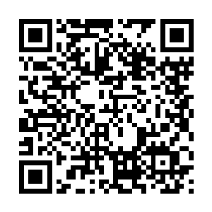 更要掂量一下说谎如果被戳破之后自己要承担的后果二维码生成