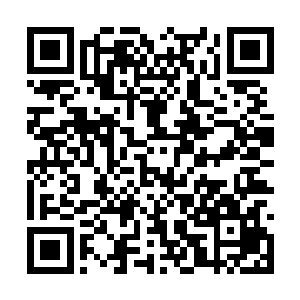 更让华夏九担心的是赵家有名老祖早年拜在紫幽派二维码生成