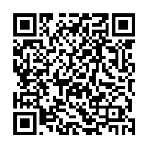 更让张铁已经实化的精神力在识海空间之中再次暴增一截二维码生成