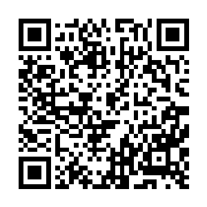 更趁着自己垂头组装零件的档口用火辣辣的目光偷觑二维码生成