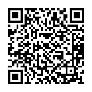 更跟千山暮雪两人身上不断多出的伤口之血混合二维码生成