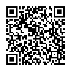 更重要的一方面是任国非对于政府这边的门道他并不清楚二维码生成
