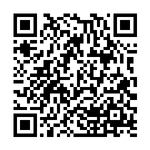 更重要的一方面是我们苏家有一位木火双系的炼药师二维码生成