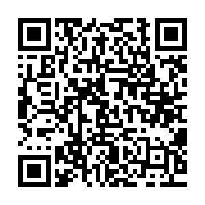 更重要的原因是陆为民希望一个人不受打扰的享受这一段时间二维码生成