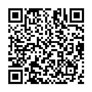更重要的是他不相信许紫烟能够从这数百万修士的包围中逃走二维码生成