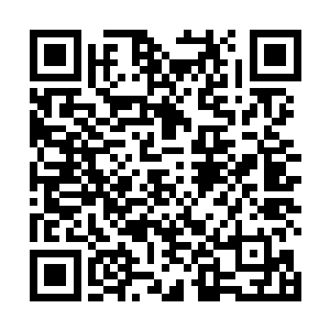 更重要的是他们对于家主和族长继承人有着苛刻的考量二维码生成
