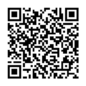 更重要的是他身为银河修真界数一数二的炼丹宗师二维码生成