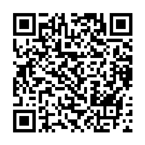 更重要的是希望林烽能够帮它为这些野狗谋一条生路二维码生成