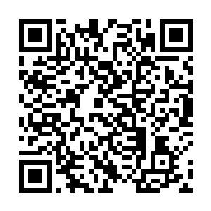 更重要的是梓箐发现他们在自己心目中真的没那么重要二维码生成