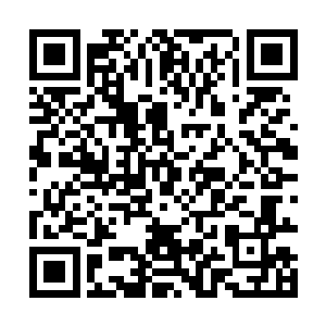 更重要的是这让她想起了那次初见小禹仙人的糟糕局面~二维码生成