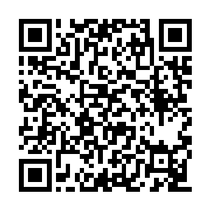 曹主教所说的正是夏天在大荒的那些兄弟和朋友二维码生成