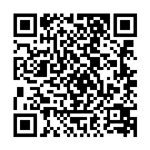 曹振和丁叮两个人则是带着自己的两个儿子去农场那边玩闹去了二维码生成