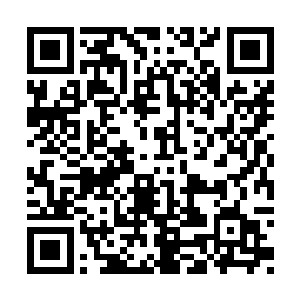 曹真以及其身旁一干荆州将领不由都是神色大变二维码生成