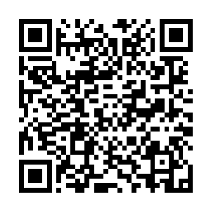 曹真以及曹休一干将领不由地齐刷刷把目光投向了城外二维码生成