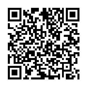 曹金科和弗朗西斯科打电话的时候虽然没开外音二维码生成