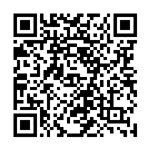 曼城不可能总是依赖荣光这种个人英雄主义一样的发挥二维码生成