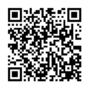 曼殊优昙化作的红色雾气都没入了柳逸尘的身体里二维码生成