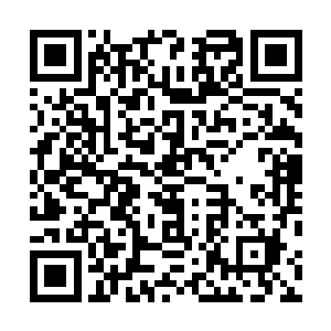 曼殊沙华因缘万果宝树无法生成任何与魔族骑士相关果实二维码生成