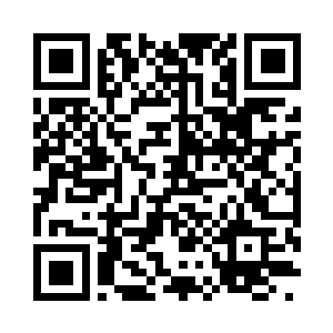 曼陀罗啊曼陀罗……你们究竟有没有来呢二维码生成