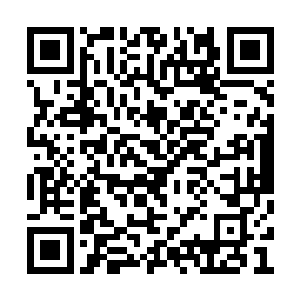 曾今就死在鸣人未完成的风遁螺旋手里剑的之下二维码生成